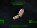 Fallout4 2015-11-20 23-14-22-01.png